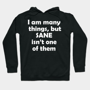 I am many things, but sane isn't one of them Hoodie